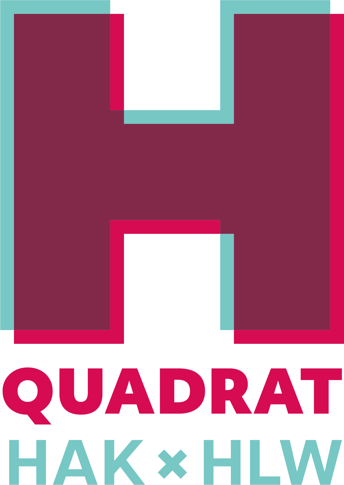 Hquadrat-BHAK Wolfsberg (1)